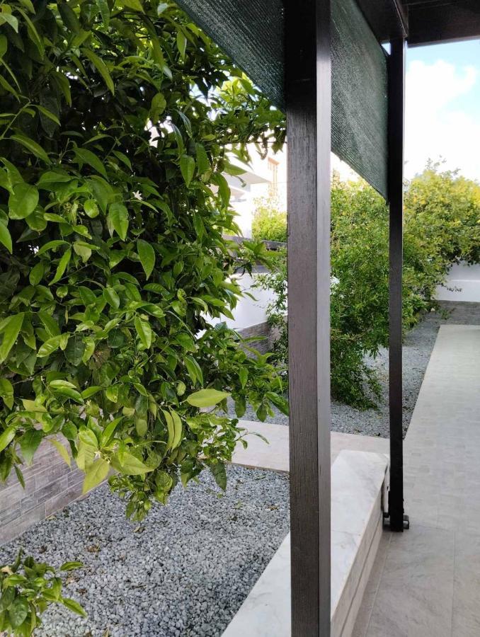 Michael Angelo Villa Pafos Dış mekan fotoğraf